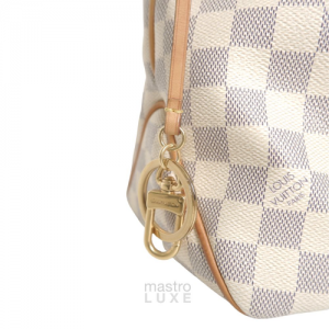 Damier Azur Delightful Bag